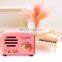 Mini Home Cute Portable Bluetooth 5.0 Music Wireless Bluetooth Speaker