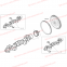 FPT IVECO CASE Cursor9Bus F2CFE612D*J231/F2CFE612A*J098  5802748674   CRANK SHAFT GEAR 504124624