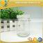 250ml tissue culture glass jar with plastic cap/ lids for plant