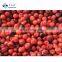 Sinocharm BRC A Approved IQF Pitted Sour Cherry Frozen Red Cherry
