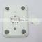 Home Use Food Digital Kitchen Scale Weight