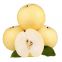 Fresh Fruit Pears/Ya Pear/Fragrant Pear/Crown Pear/Qiuyue Pear/Golden Pear