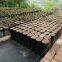 PE Black Plastic Nursery Bags Plant Grow Bag Seedling Pots Sapling Cultivation Bag With Holes For Garden