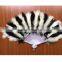 Good quality Ostrich 11 colors elegant large feather folding hand fan for wedding Party supplies