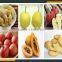 Leader hot sales frut crumbler machine website:leaderservice005