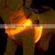 Pet Dog Rechargeable LED Harness Product