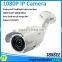 Poe Ip Camera 2.0 Megapixel,Dome Camera,IP network camera