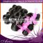 Brazilian Body Wave Thick Virgin Brazilian Hair Bundles Free Shipping 100% Human Hair Weave No Tangle