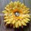 Hot sell handmade fabric African Daisy flowers H-547
