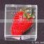Transparent plastic box storage box square specimen collection box storage box ZYD-LJ006
