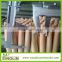 hotsell plant support wooden stick with tapered end