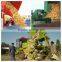 High output small corn harvester machine /sweet corn cob harvesting machine