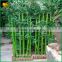 China supplier artificia bamboo high quality plastic artificial bamboo
