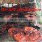 Pure Reishi Mushroom Spore Oil Soft Gel To Cure Cancer