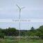 independent wind power 2000W micro turbine generator