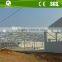 Steel structure design poultry farming shed with automatic feeding system