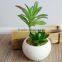 Customized Artificial Succulent Mini Potted Succulent Plants Wholesale