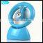 Beautiful With Water Spray Small Fan