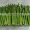 CHINESE IQF FROZEN GREEN ASPARAGUS WHOLE