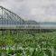 export irrigation sprinkler