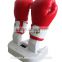 Stong heating and drying AC power boxing gloves deodorizer and dryer with dry heat sterilizer