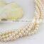 Fashion pearl jewelry DIY freshwater pearl strands 7-8mm round shape AA+ white loose pearl strand