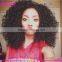 Wholesale Price 16 Inches Bleached Knots Kinky Curly Wig 180 Density Afro Kinky Human Hair Wig