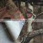 TPU Coated 420D Woodland Camouflage Polyester Oxford Fabric with PU Coated for Outdoor Backpack
