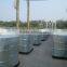 pine nut oil