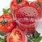 China Canned Tomato Paste Size 70g -4500g Tomato Paste Factory