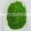 Fresh Air Dried Barley Grass Powder 100 Mesh