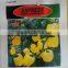 Pepper seeds sweet pepper seeds yellow pepper seeds 738 F1