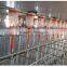Automatic Feeding Line delivery feed system for Pig Farm Feeding system