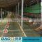 New Modern Poultry Hopper Feeding System for Broiler