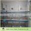 commercial rabbit cage 12cells farming in kenya