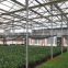 Agricultural Greenhouse for Tomato/Strawberry/Grape