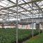 Selected Supplier Plastic Horticultural Green House for Sale