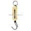 Hanging clasp scale/fishing scale/Handle scale