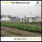 3X3m White Pvc Cheap Chinese Pagoda Party Event Tents