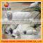 Life size Tummy sleeping foo dog stone statue for yard decoration