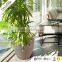eco-friendly weather resistant plastic planter recycled durable supplier