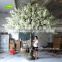 GNW BLS021 Hot artificial cherry blossom tree for wedding