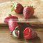 STC-12 Strawberry Corer