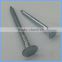 Galvanized Cupper Nails with Factory Price