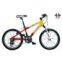 Mountain Bicycle/mtb Bike/mtb Cycle
