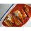 Canned Sardines