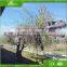 Attractive display equipment dinosaur skeleton of China factory