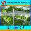 Commercial NFT Hydroponic Growing Systems