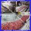 Green vegetable washing machine/industrial/industrial fruit washer