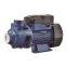 QB70 0.75HP Peripheral Pump